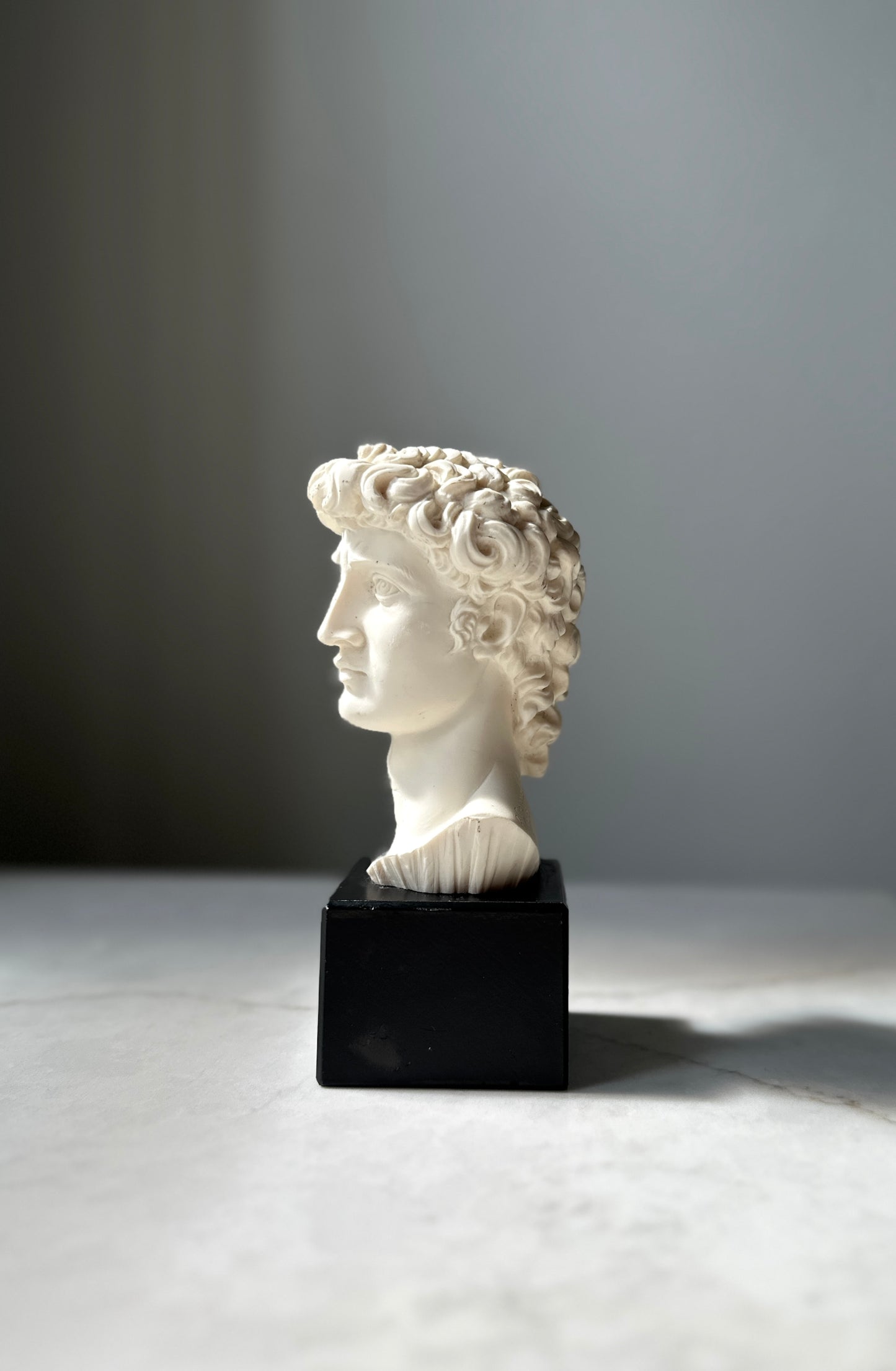 Vintage David Bust, Italy