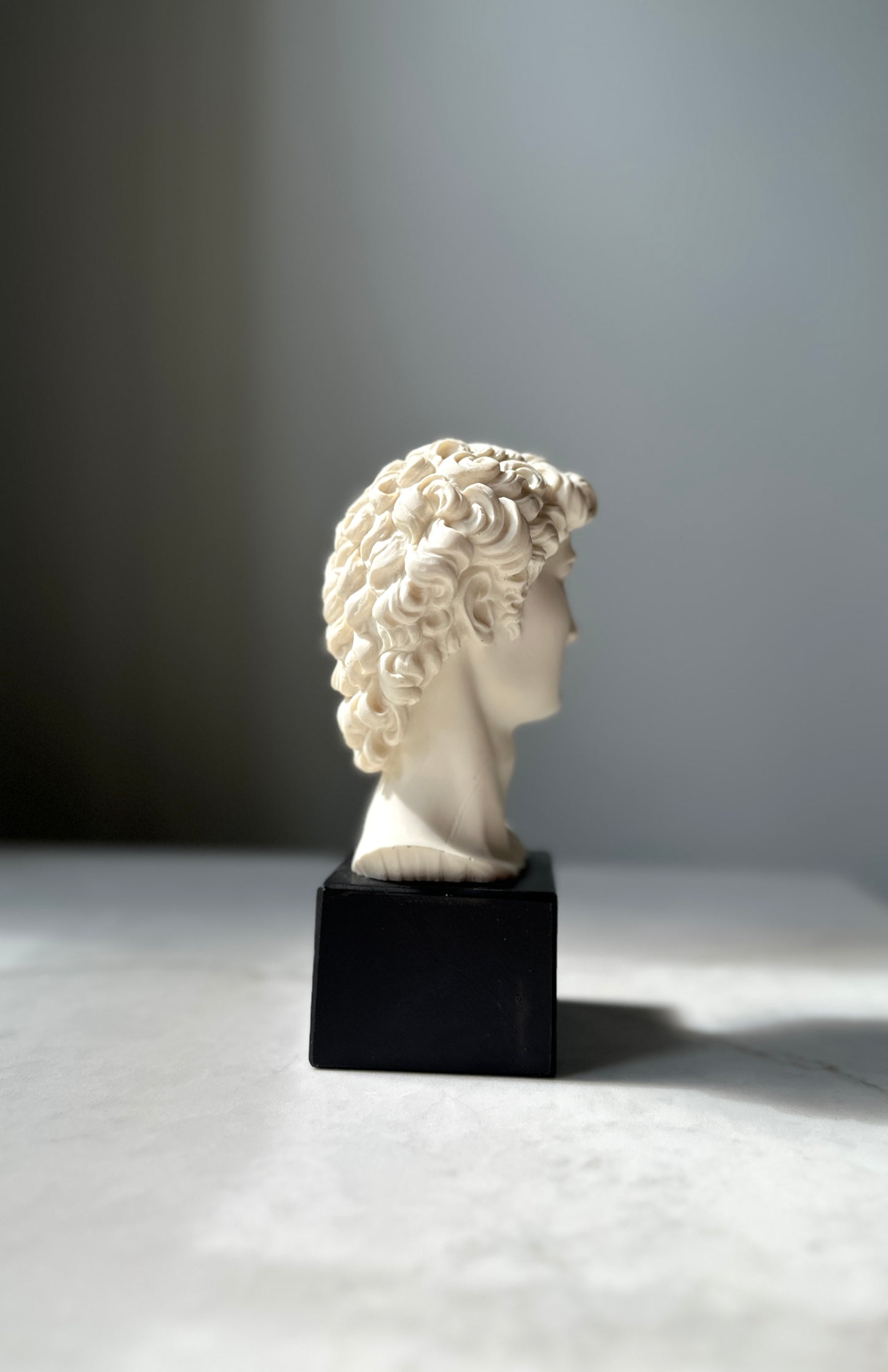 Vintage David Bust, Italy