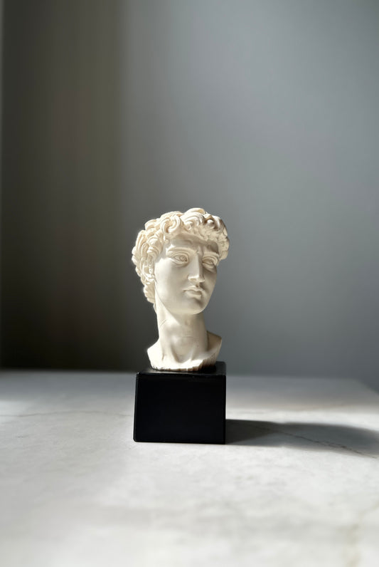 Vintage David Bust, Italy