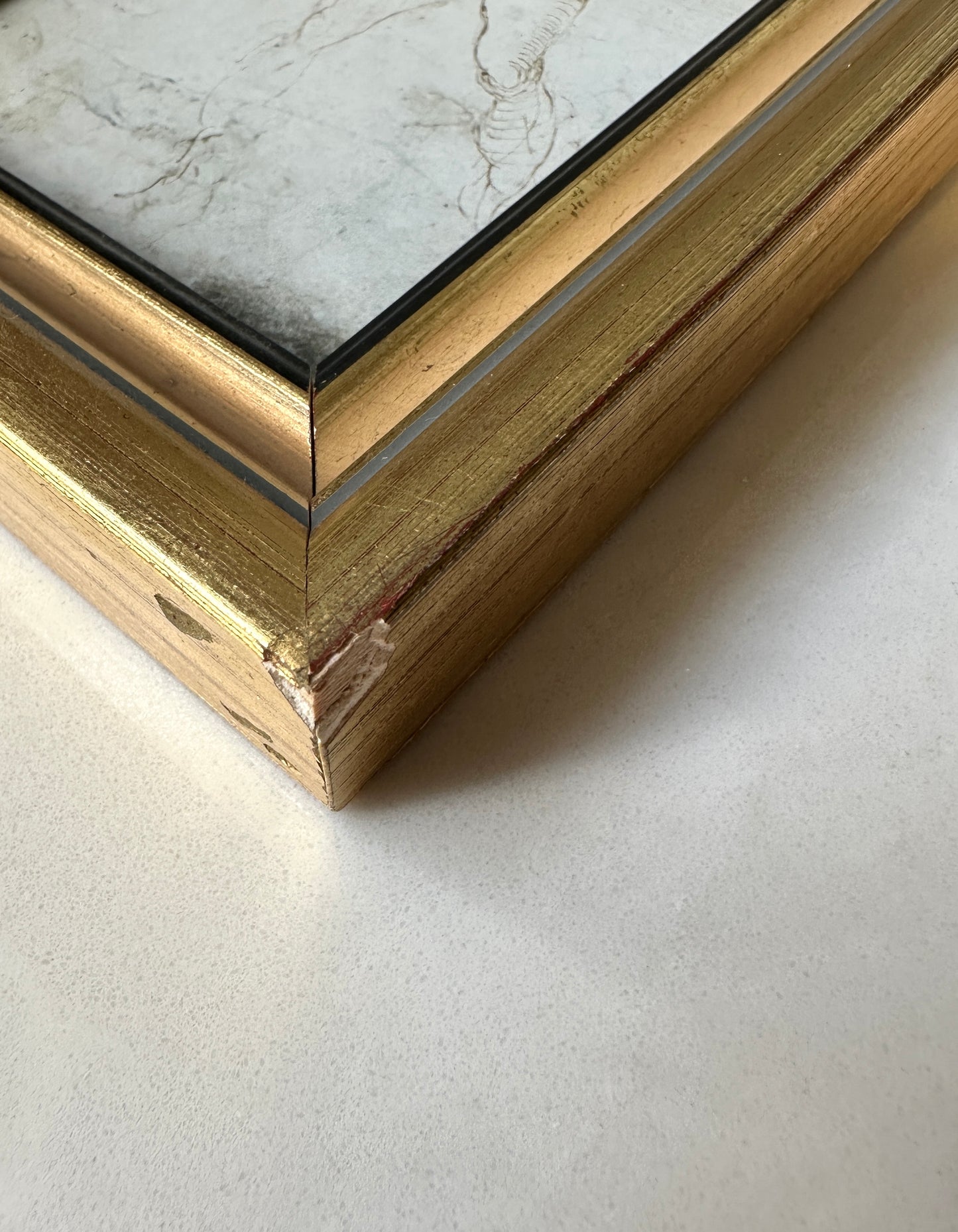 Trio of Vintage Framed Da Vinci Drawing Prints
