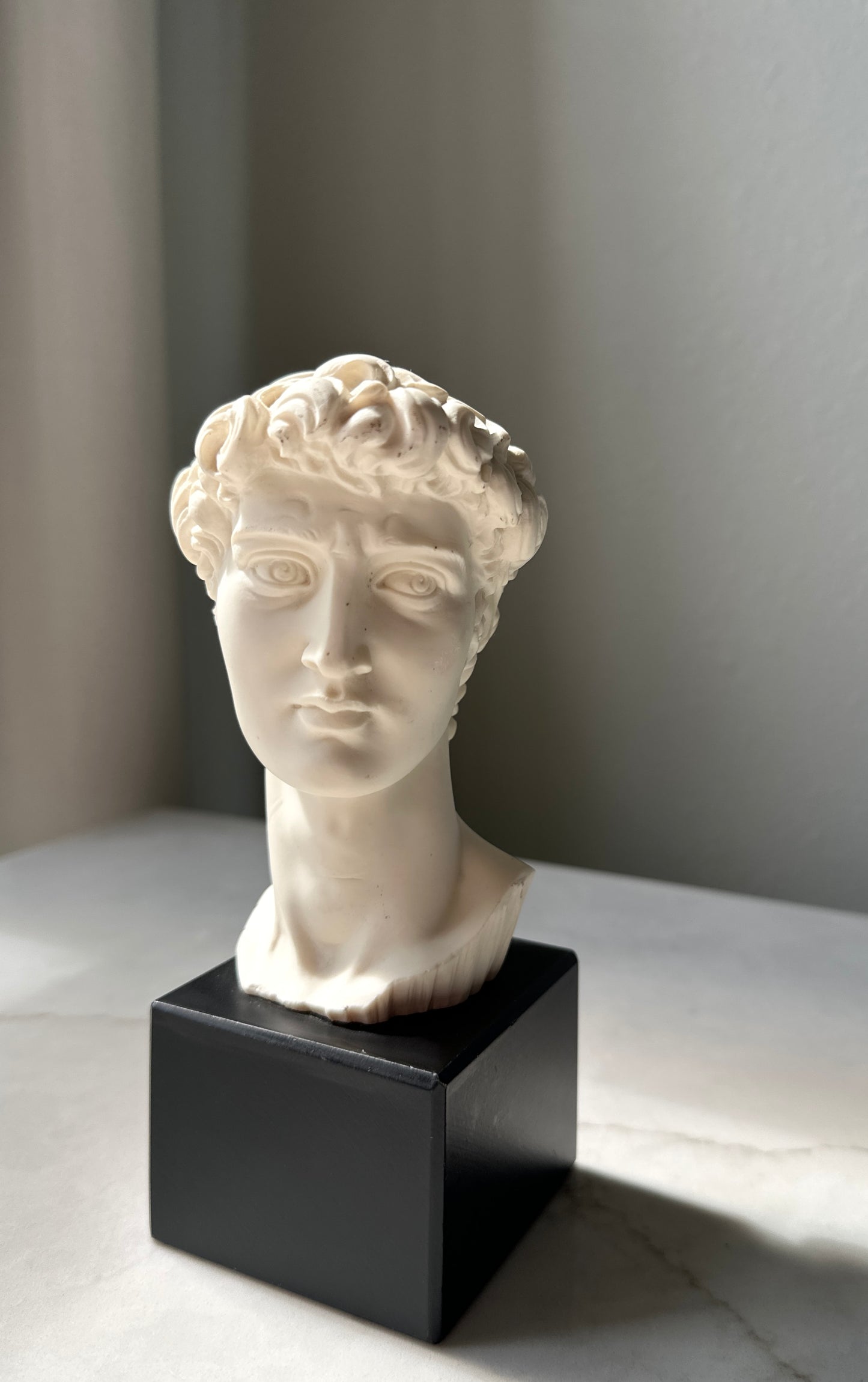 Vintage David Bust, Italy