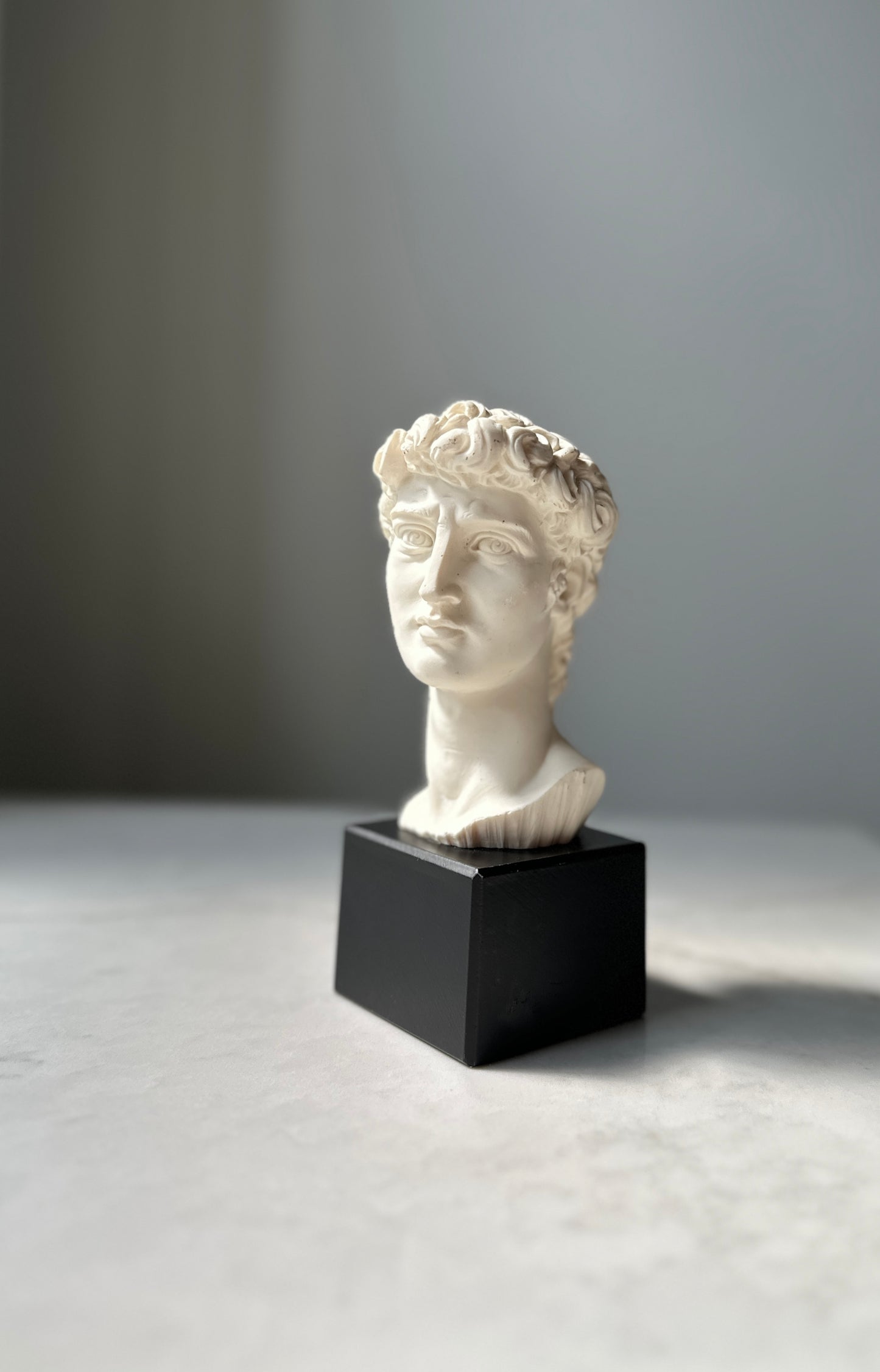 Vintage David Bust, Italy